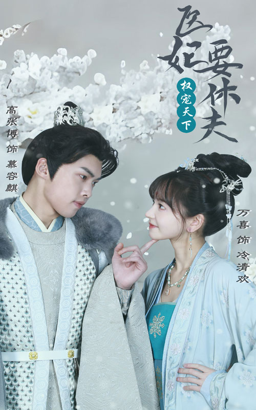 权宠天下:医妃要休夫