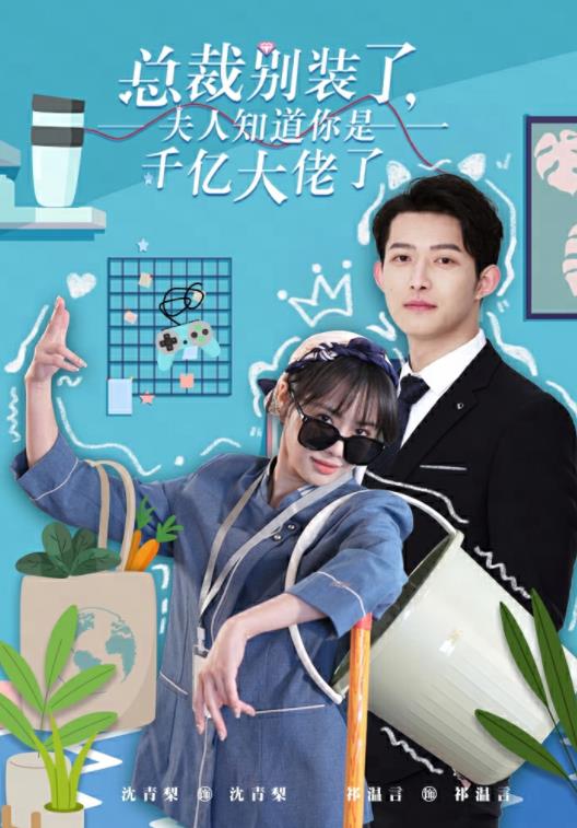 总裁别装了,夫人知道你是千亿大佬了