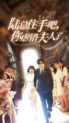 陆总住手吧,你虐错夫人了