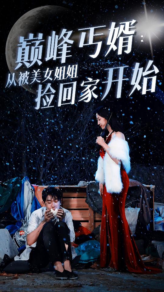 巅峰丐婿:从被美女姐姐捡回家开始