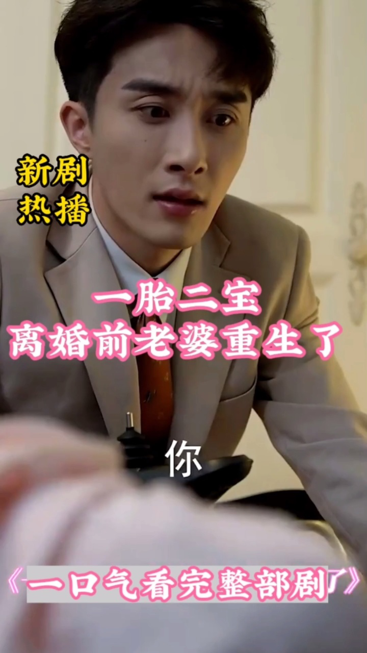 一胎二宝:离婚前老婆重生了