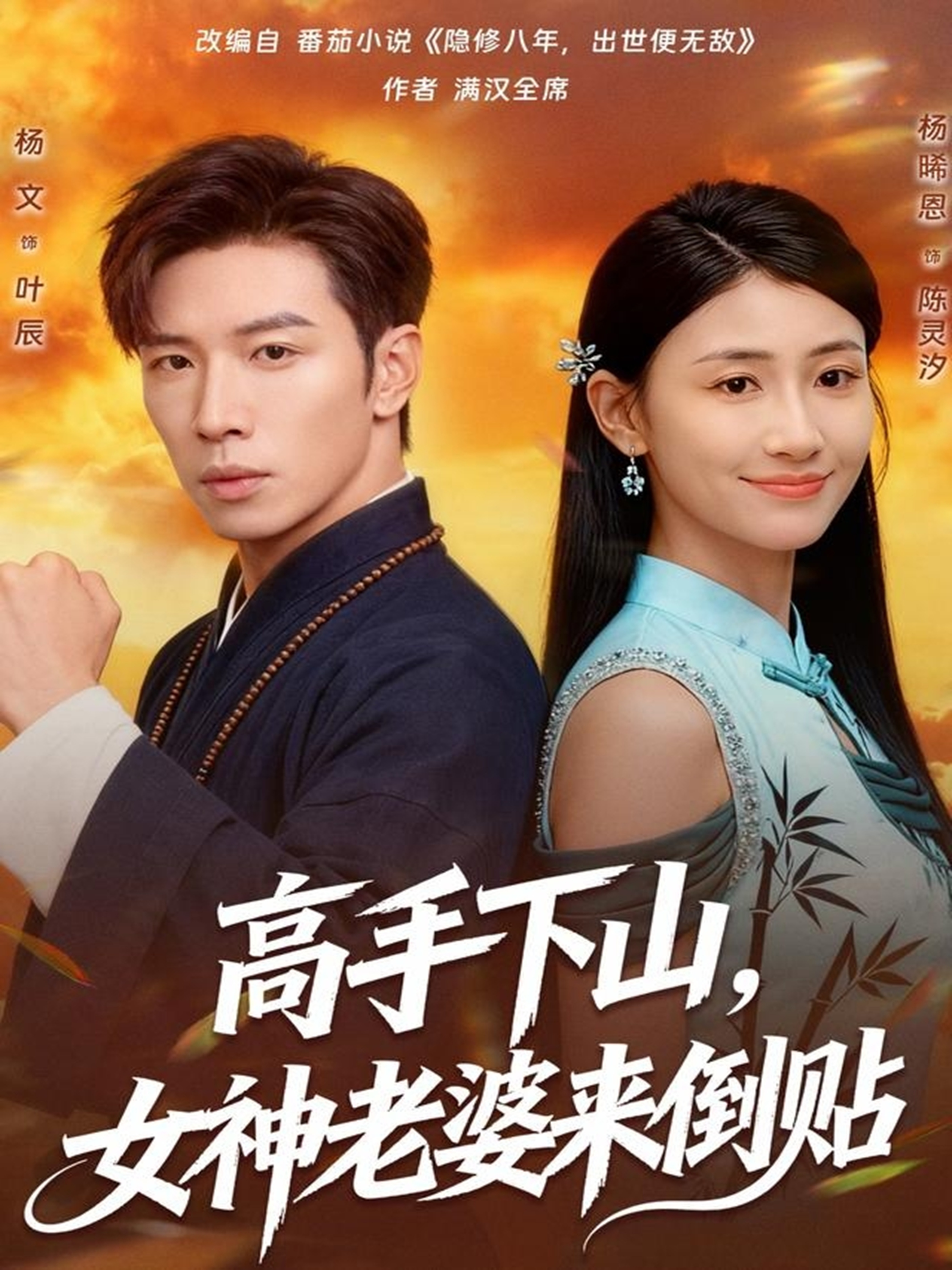 高手下山,女神老婆来倒贴