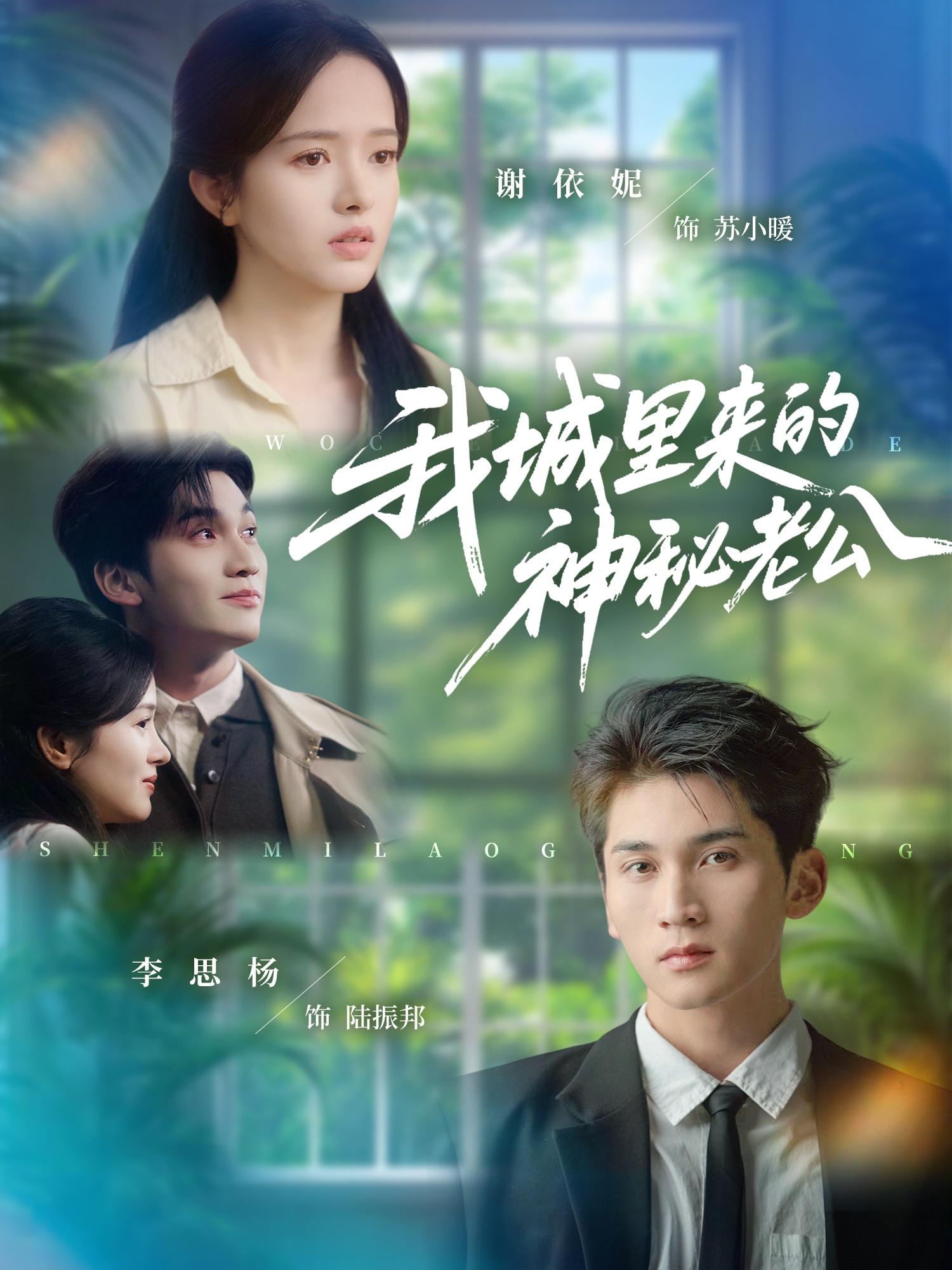 我城里来的神秘老公